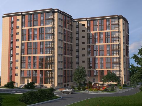 Чайка (Пліева/Бродська) 3