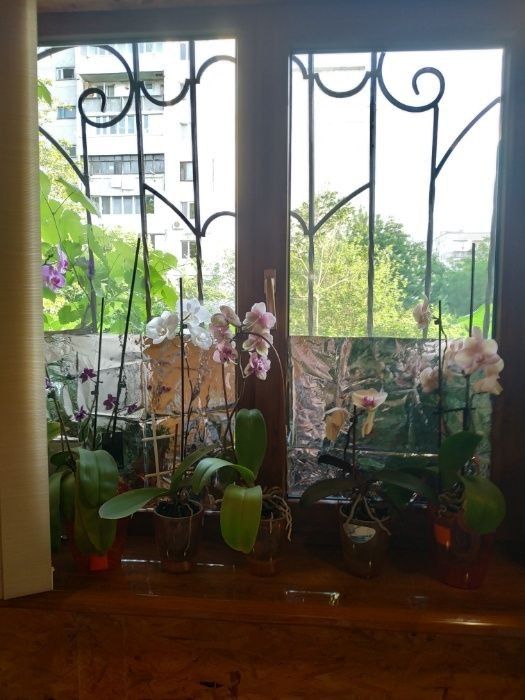 Квартира на Ак.Заболотного ул.