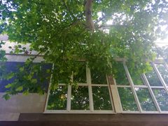 Квартира на 8- лінія ул.