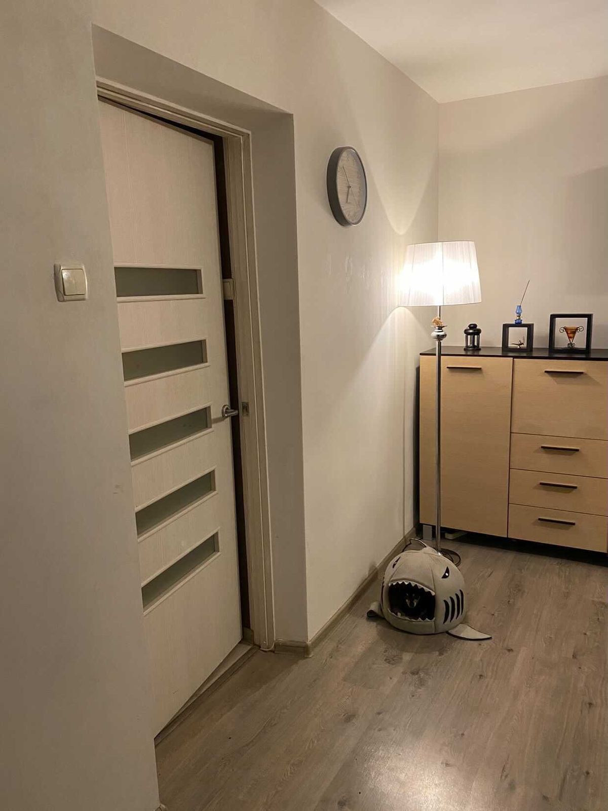 Квартира на Романа Кармена вул.