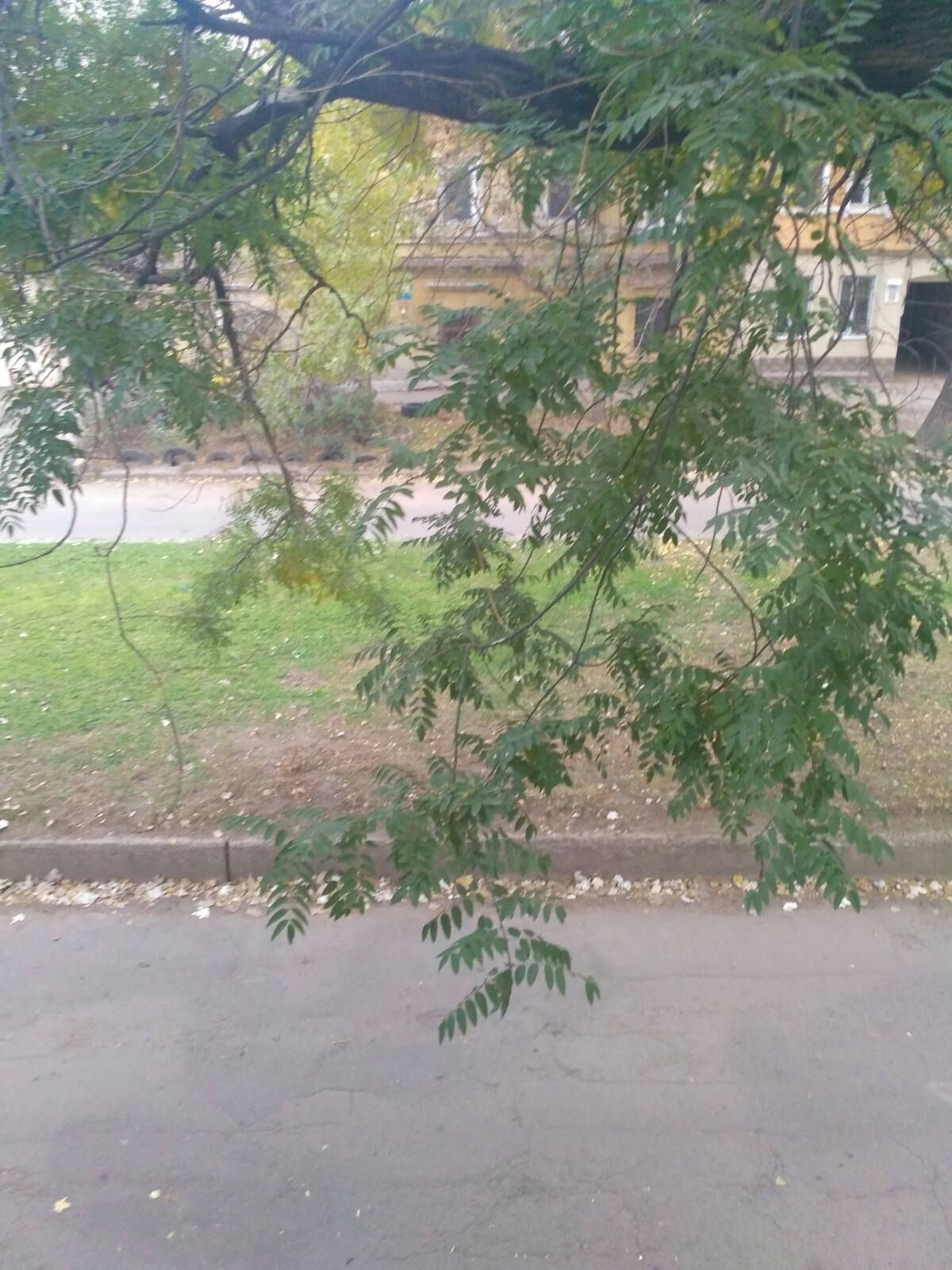 Квартира на Атамана Чепіги вул.