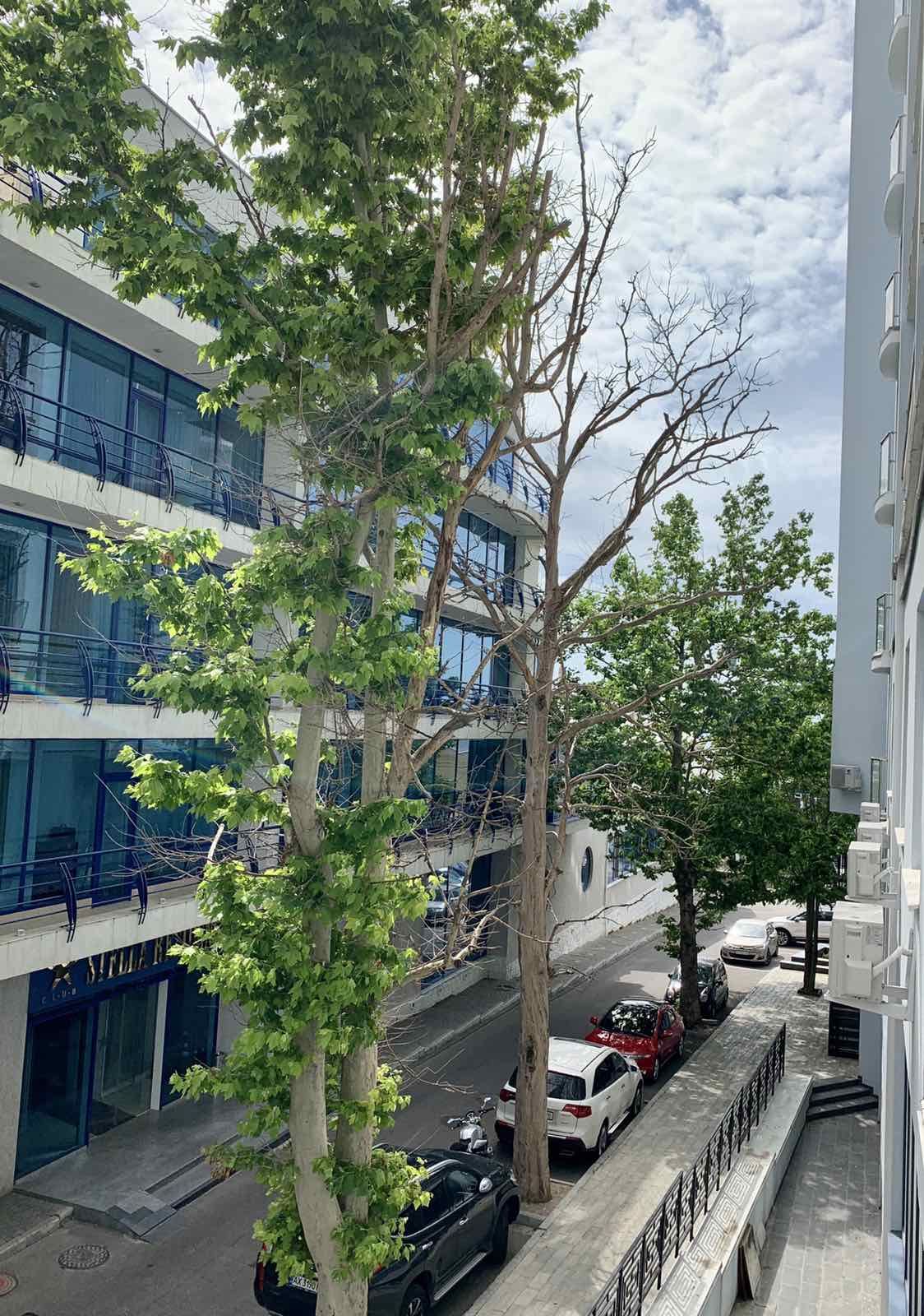 Квартира на Ванний провулок