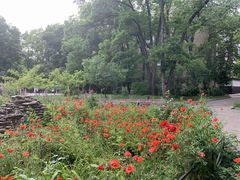 Квартира на Шевченка вул.