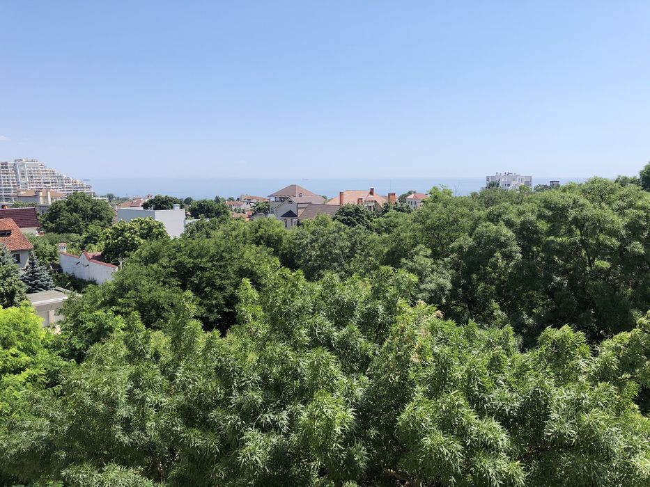 Квартира на Аркадійський пров.