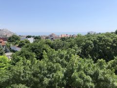 Квартира на Аркадійський пров.