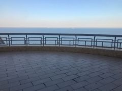 Пентхаус на бульварі Лідерсівський вул.