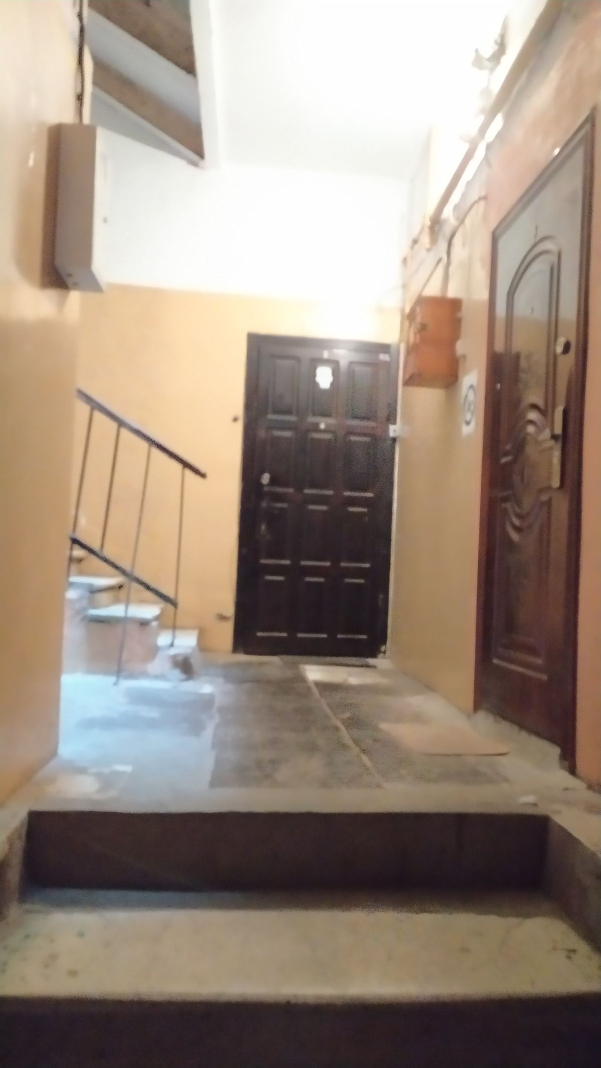 Квартира на Спиридоновской ул.