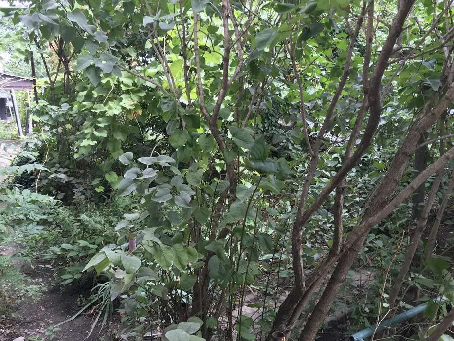 Квартира на Центральной ул.