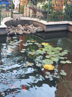 Квартира на Софиевской ул. в ЖК Зелёный мыс