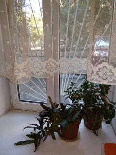 Кiмната в коммунi на Старопортофранкiвська вул.