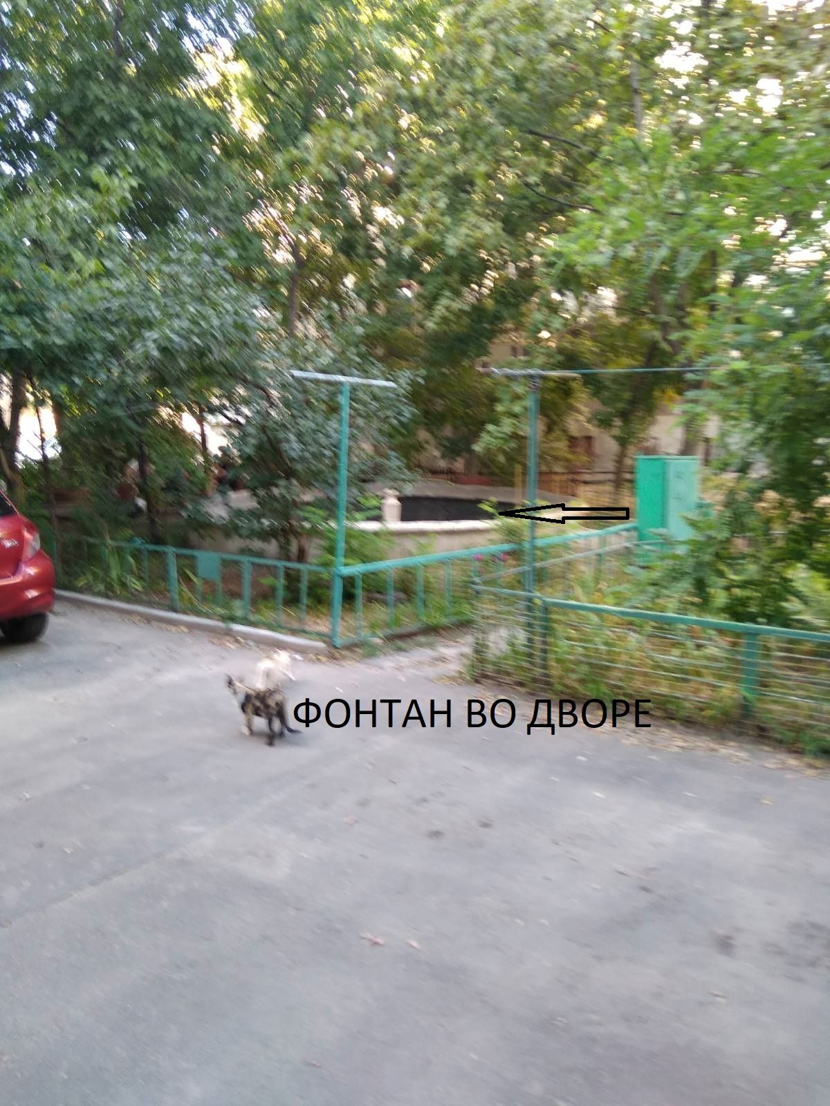 Кiмната в коммунi на Старопортофранкiвська вул.