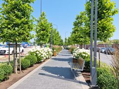 Квартира на Академика Вильямса ул.