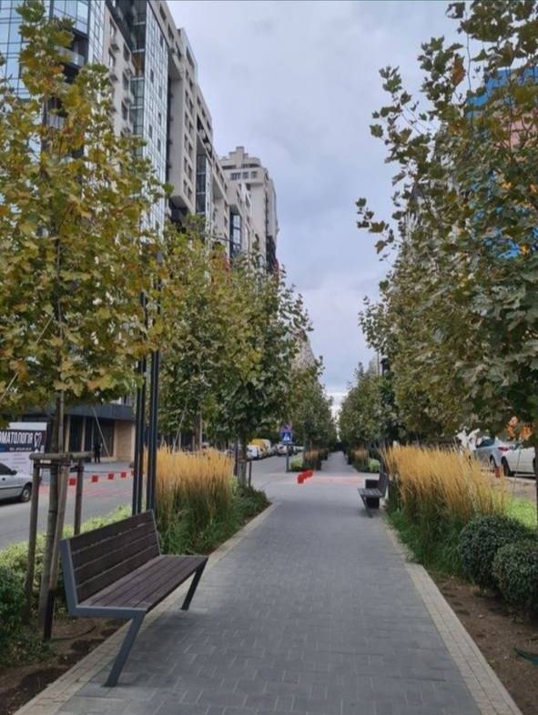 Квартира на вул Академіка Вільямса