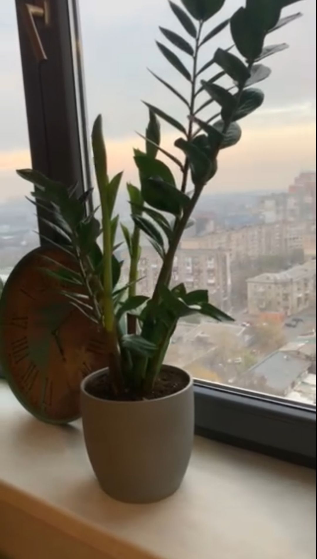 Квартира на Михайлівська вул.