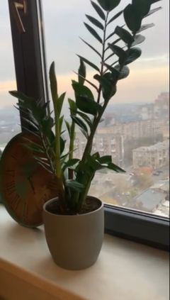 Квартира на Михайлівська вул.