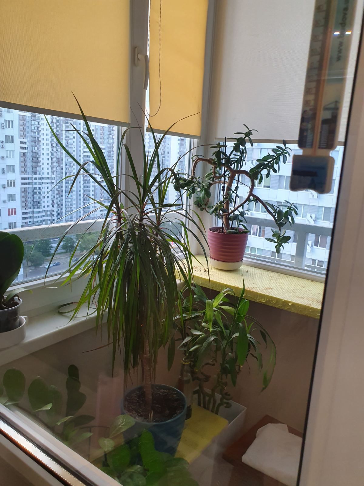 Квартира на Люстдорфська дорога вул.