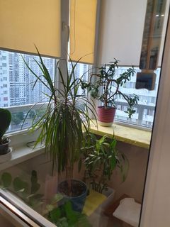 Квартира на Люстдорфська дорога вул.