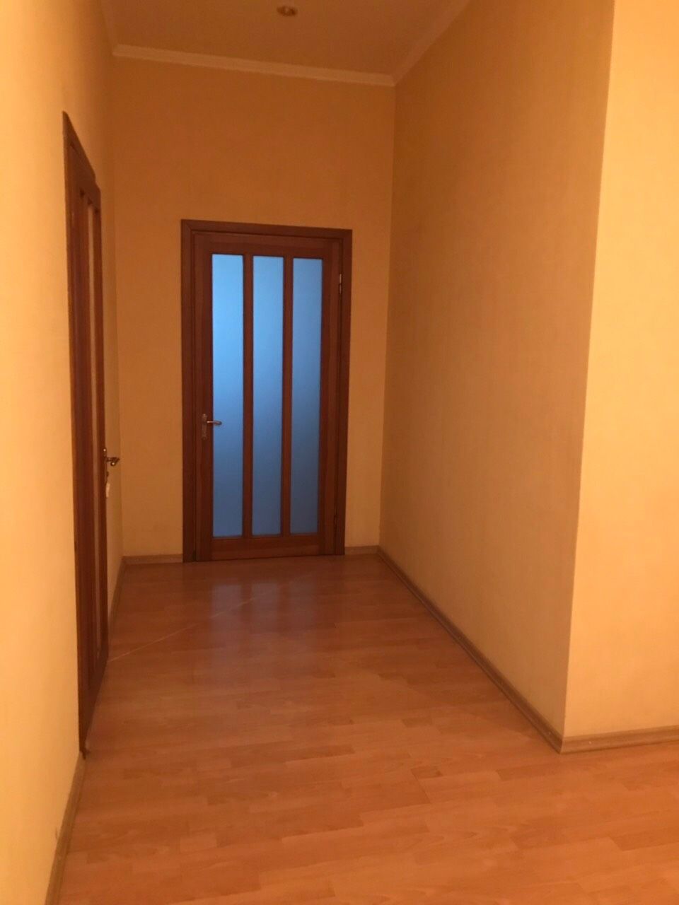 3х к квартира на Бреуса вул.