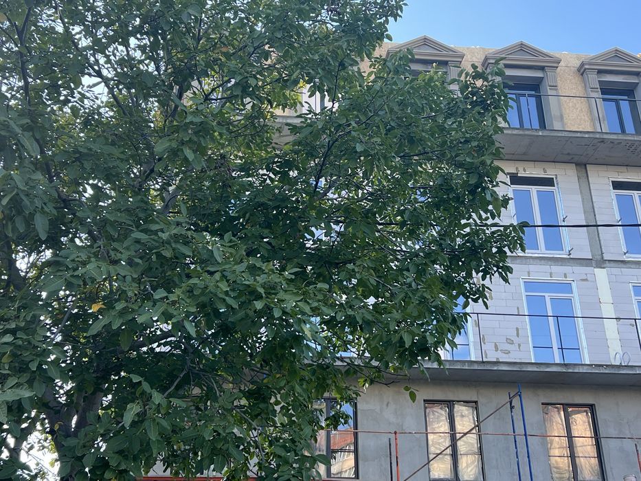 Квартира на вул Люстдорфська дорога