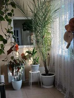 Квартира на Прохоровмькій вул.