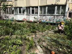 Квартира на просп. Ярослава Мудрого