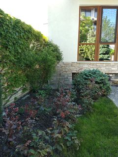 Будинок на Львівська вул.