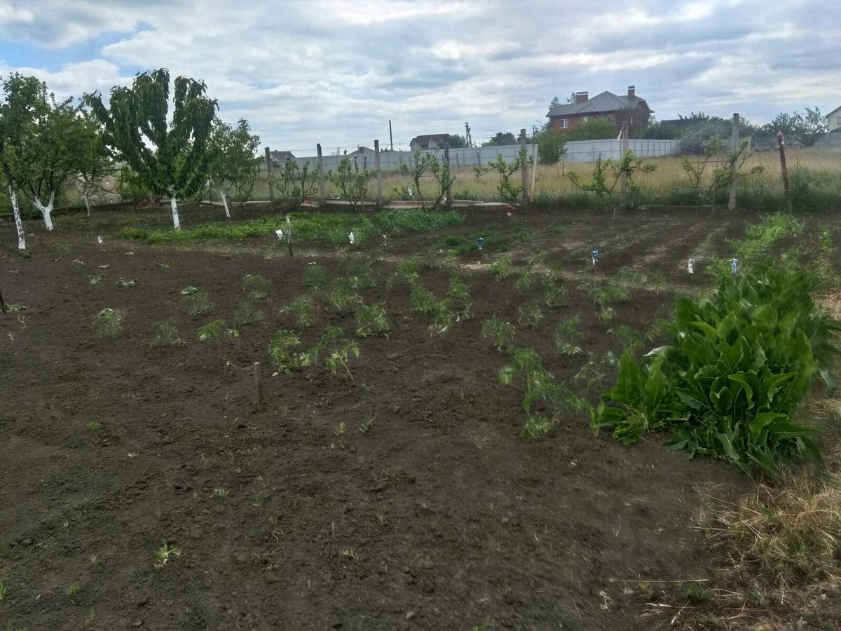 Будинок на Новій вул.