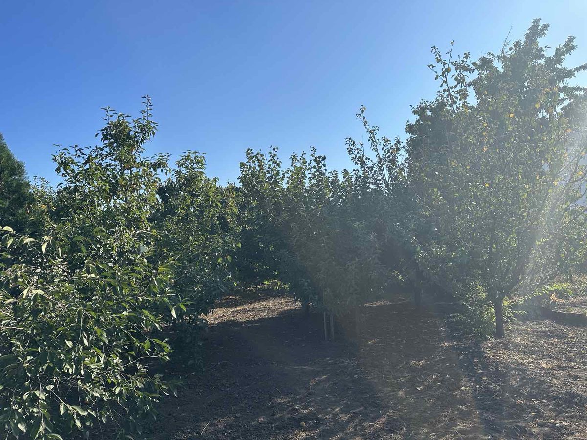 Дом на Гаркавого ул.