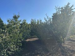 Дом на Гаркавого ул.