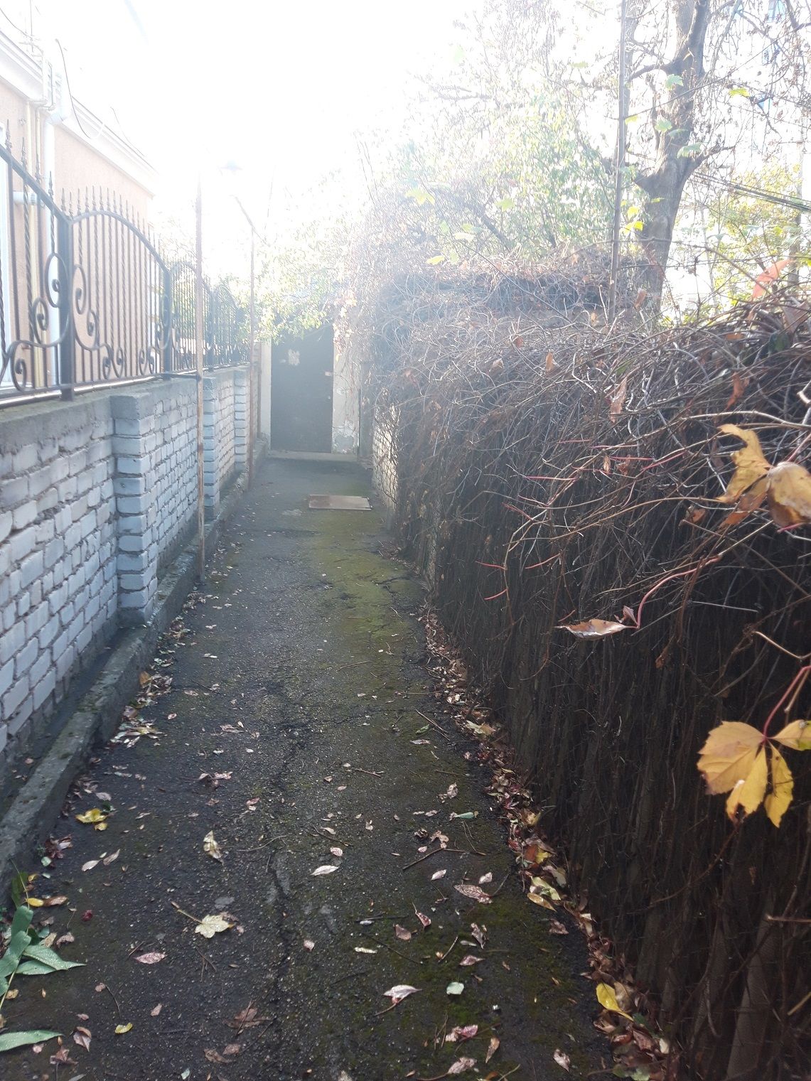 Будинок с землею на 8 ст Фонтана