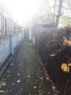 Будинок с землею на 8 ст Фонтана