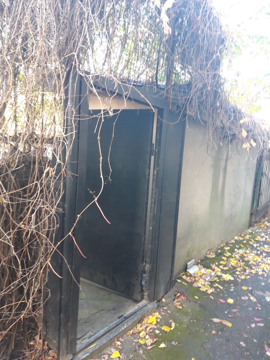 Будинок с землею на 8 ст Фонтана