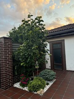 Будинок в пров. Рейдовий