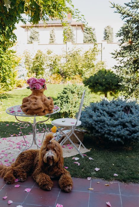 Будинок в пров. Рейдовий