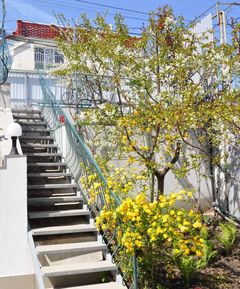 Будинок на вул Берегова