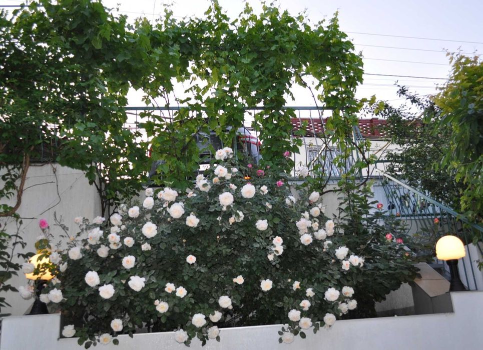 Будинок на вул Берегова