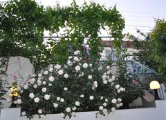 Будинок на вул Берегова