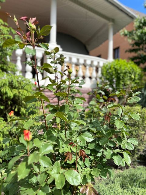 Будинок в Зеленому Мисі