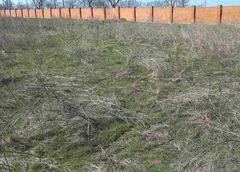 Земельна ділянка на Масив 23 Совіньйон