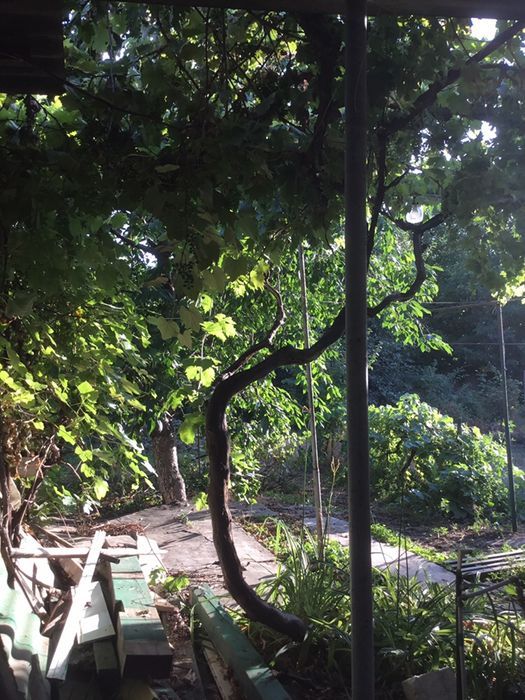 Land plot on Fontanska road, ul.