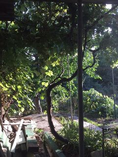 Land plot on Fontanska road, ul.