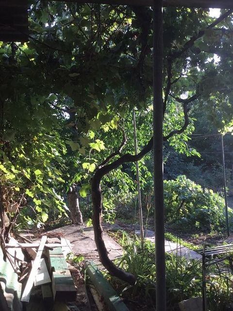 Land plot on Fontanska road, ul.