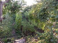 Land plot on Fontanska road, ul.