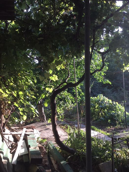 Land plot on Fontanska road, ul.