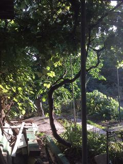 Land plot on Fontanska road, ul.