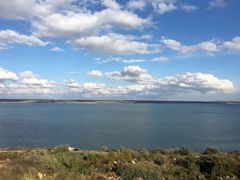 The plot on Prylymanskaya str.