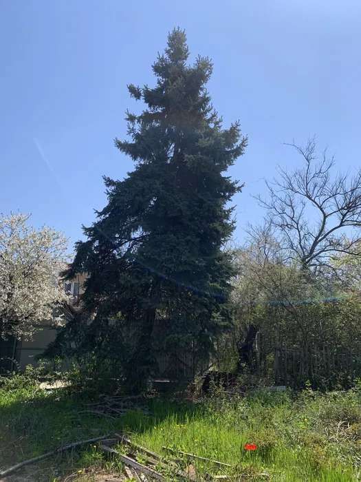 Земельна ділянка 2-а лінія Марії Демченка вул.