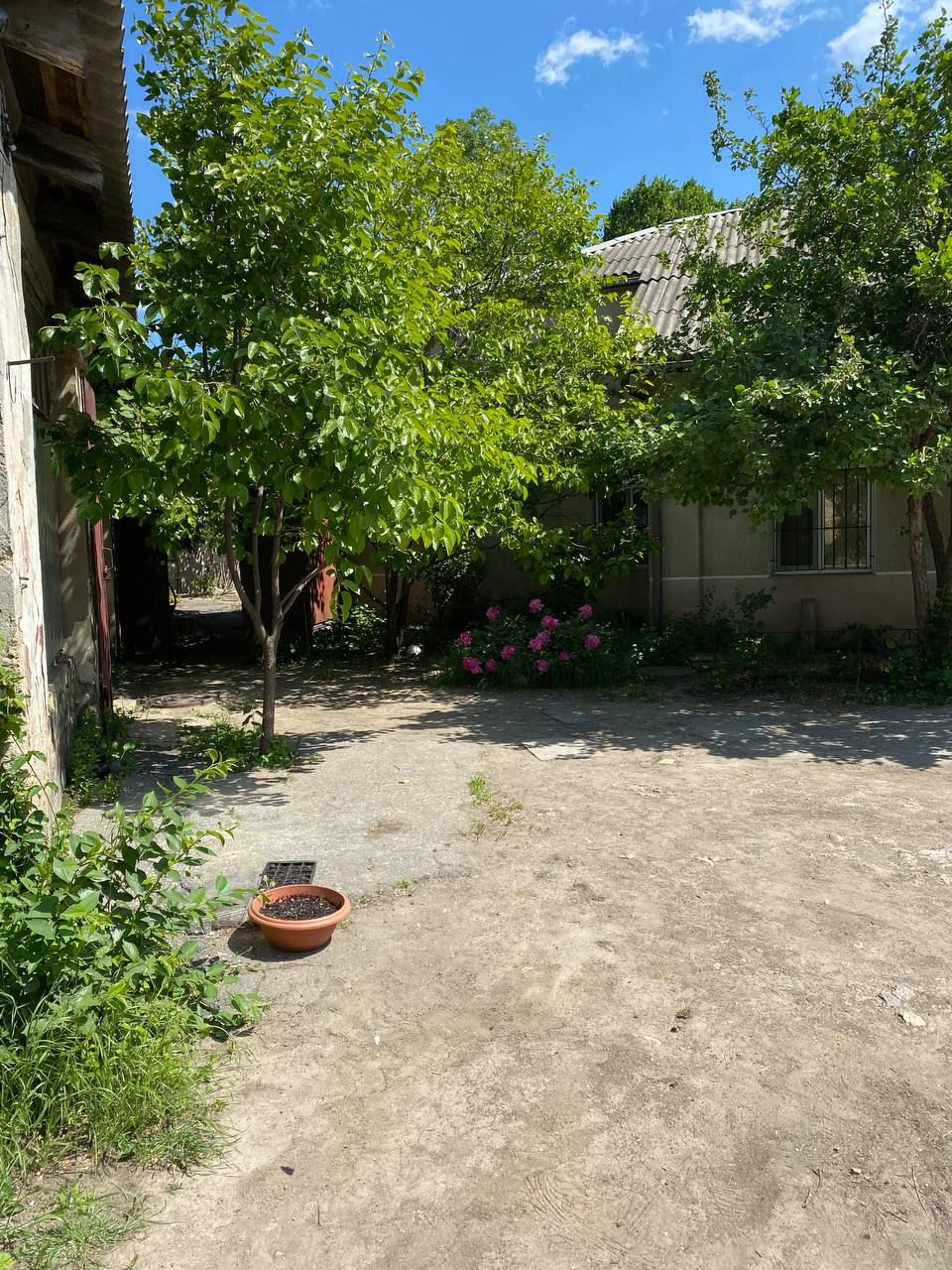 The plot on Novikova Street