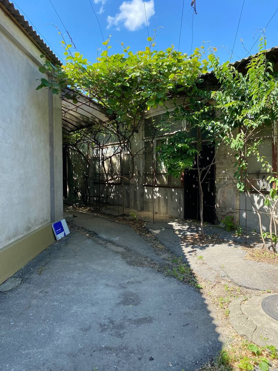 The plot on Novikova Street