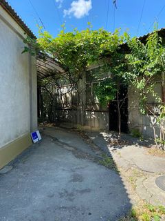 The plot on Novikova Street